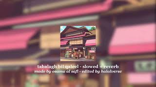 tabalagh bil qaleel  slowed  reverb [upl. by Gayler]