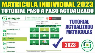 Siagie  Matricula INDIVIDUAL 2023  Tutorial COMO MATRICULAR ALUMNOS NUEVOS Y ANTIGUOS [upl. by Icnan]