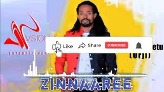 Urgesa Eshetu Zinnaarree New Oromo Music 2022 official Video [upl. by Hammerskjold132]