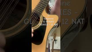 Takamine G SERIES GD30CE  12 NAT [upl. by Brocklin]