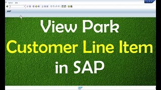 View Park Customer Line Item in SAP [upl. by Vivi702]