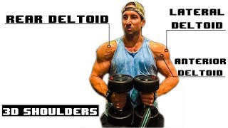 Mass Building Shoulder Workout  7 Killer Dumbbell Exercises [upl. by Annora]