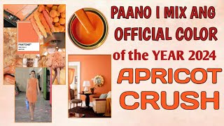 Paano i mix ang Color of the Year 2024 APRICOT CRUSH [upl. by Nilrev79]