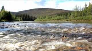 Jet Boating The Goodpasture River [upl. by Drofla]