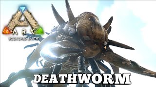 Hunting A Deathworm  Ark Survival Evolved  Scorched Earth [upl. by Lauraine421]