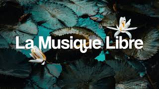 Musique libre de droits La Grande Table  Delnica [upl. by Jacqueline]