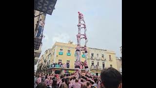 3d8  Diada de Tots Sants 2024 [upl. by Betteanne288]