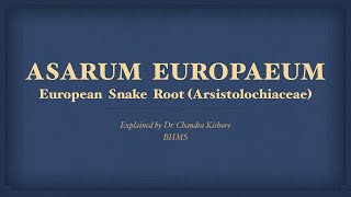 Asarum Europaeum  Allen’s Keynotes  Well Explained [upl. by Enelime]