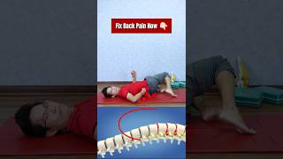 Fix Back Pain Now shorts backpain [upl. by Ahselrak]