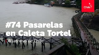 74 Pasarelas en Caleta Tortel  Atlas Vivo de Chile [upl. by Josh]