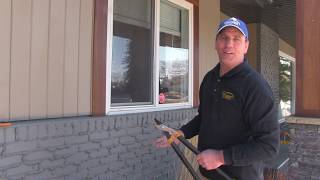 Pruning Karl foerster feather reed grass  Chinook landscaping Calgary [upl. by Eatnoid]