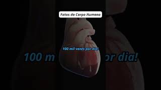 💓Fatos Incríveis Sobre o Corpo Humano O Coração 💓 [upl. by Duma]