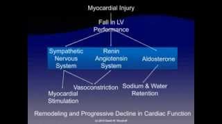 Pathophysiology of Heart Failure [upl. by Adnerb]