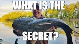 Here is how to catch BIG Flathead Catfish [upl. by Ecadnak]