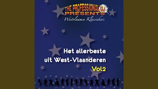 Wat zullen we drinken  Feestmix feat Joel amp de brugse strangers [upl. by Seedman]