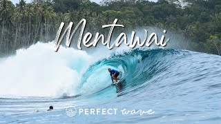 Surfing Mentawai With The Perfect Wave  Andy Potts [upl. by Dawes893]