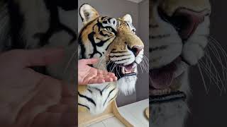 Faux Fur Animal Replica Sculpture handmade tiger lion leopard [upl. by Sad]