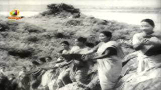 O Rama Nee Naamam Video Song  Bhakta Ramadasu Telugu Movie  ANR  NTR  Anjali Devi [upl. by Jenilee17]