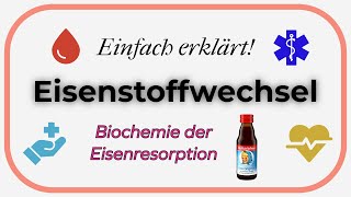 Eisenstoffwechsel Einfach erklärt  Biochemie der Eisenresorption [upl. by Beitris]