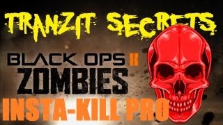 TranZit Zombies NEW Persistent PowerUp InstaKill PRO [upl. by Ver]