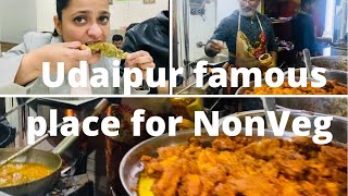 Udaipur Famous Place to Eat NonVeg  Must Visit for delicious food [upl. by Bbor]