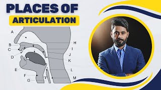 Places of articulation  Phonetics  Linguistics [upl. by Enitsua]