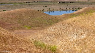 Hanford Reach National Monument [upl. by Adiasteb587]