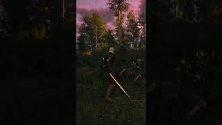 Witcher 3 Geralts clean with it witcher witcher3 shorts gaming gameplay games [upl. by Hsilgne]