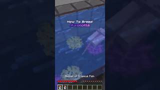 How To Breed Axolotls In minecraft 120 Java [upl. by Clute]