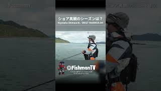 ショア真鯛のベストシーズンっていつ？ Fishman 釣り 真鯛 [upl. by Tratner403]