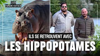 Des kilos de crottes dhippopotames à ramasser… à la main  😱  Les Touristes [upl. by Yrneh]