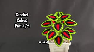 Easy crochet Coleus plant Part 12 crochetplant crochetflower crochet [upl. by Lalise]