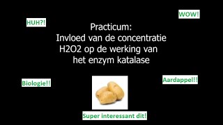 Wat gebeurt er met een aardappel in waterstofperoxide De werking van katalase in beeld [upl. by Sirac]