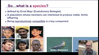 Speciation  AP Biology [upl. by Jelle]