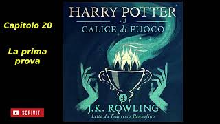 Harry Potter e il Calice di fuoco Audiolibro Italiano letto da Francesco Pannofino Capitolo 20 [upl. by Stanfill]