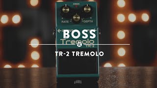 Boss TR2 Tremolo  Reverb Demo Video [upl. by Etnomaj]