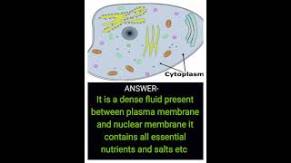 What is Cytoplasm science class9th shortvideo [upl. by Accebber]