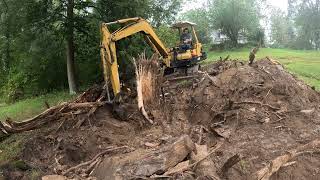 Cleaning up a fallen tree with an excavator [upl. by Ykcin]