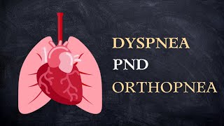 Dyspnea PND amp Orthopnea [upl. by Yllut]