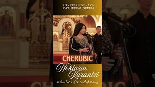 Cherubic Hymn  Nektaria Karantzi byzantinemusic cherubic nektariakarantzi christianmusic [upl. by Ecyarg]