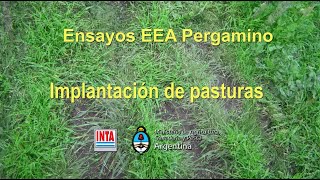 Ensayo Implantación de pasturas [upl. by Manouch]