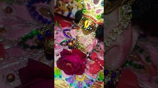 he Giridhar Gopal Lal love song 🙏🤗🤗🤗🤗🤗🙏 tujhe khilao aur jhulaaun palnastatus love [upl. by Anomer925]