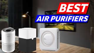 Top 3 Air Purifiers Picks in 2024 [upl. by Nycila817]