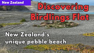 Discovering Birdlings Flat New Zealand’s unique pebble beach [upl. by Aisad]