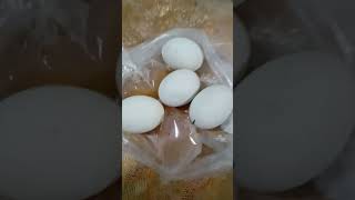 LetS PENOY balut [upl. by Durrett809]