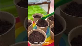 Grow it sunroom DIY build a mini garden by hands [upl. by Ahsilyt]