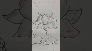 Waterlily🌷drawingflowerartdrawing [upl. by Searcy]