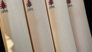 Cricket Bat Dilemma Exploring Width and Length Issues 2023 [upl. by Deena]