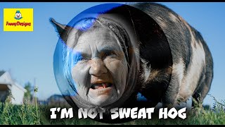 I’m Not Sweat Hog song parody of I’m not Lisa by Jessi Colter Russian style  with lyrics [upl. by Nalim]