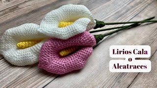 Tutorial Lirios Cala o Alcatraces a Crochet💜Mayelin Ros [upl. by Maillw]